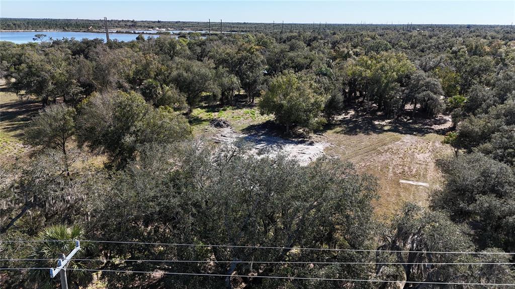 4224 Duncan Road Punta Gorda, FL 33982 - Photo 6 of 10 a view of a forest with a mountain
