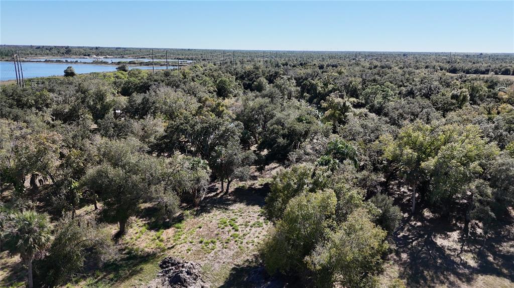 4224 Duncan Road Punta Gorda, FL 33982 - Photo 7 of 10 an aerial view of a house with a yard