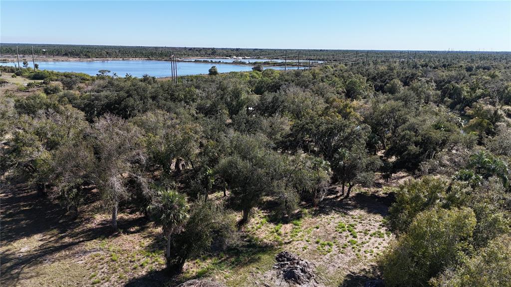 4224 Duncan Road Punta Gorda, FL 33982 - Photo 8 of 10 a view of a forest with a forest