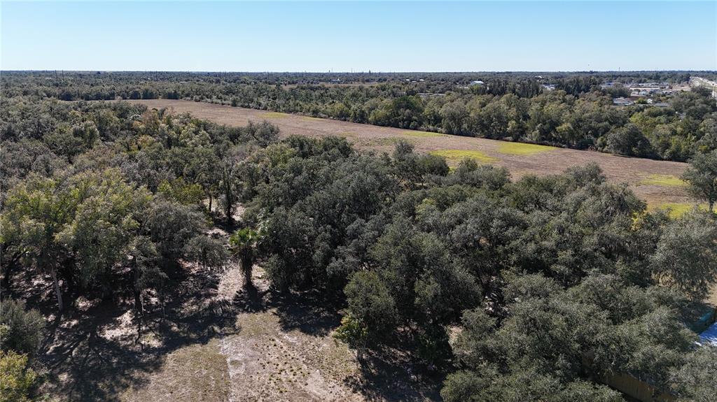 4224 Duncan Road Punta Gorda, FL 33982 - Photo 10 of 10 a view of a field with trees in background