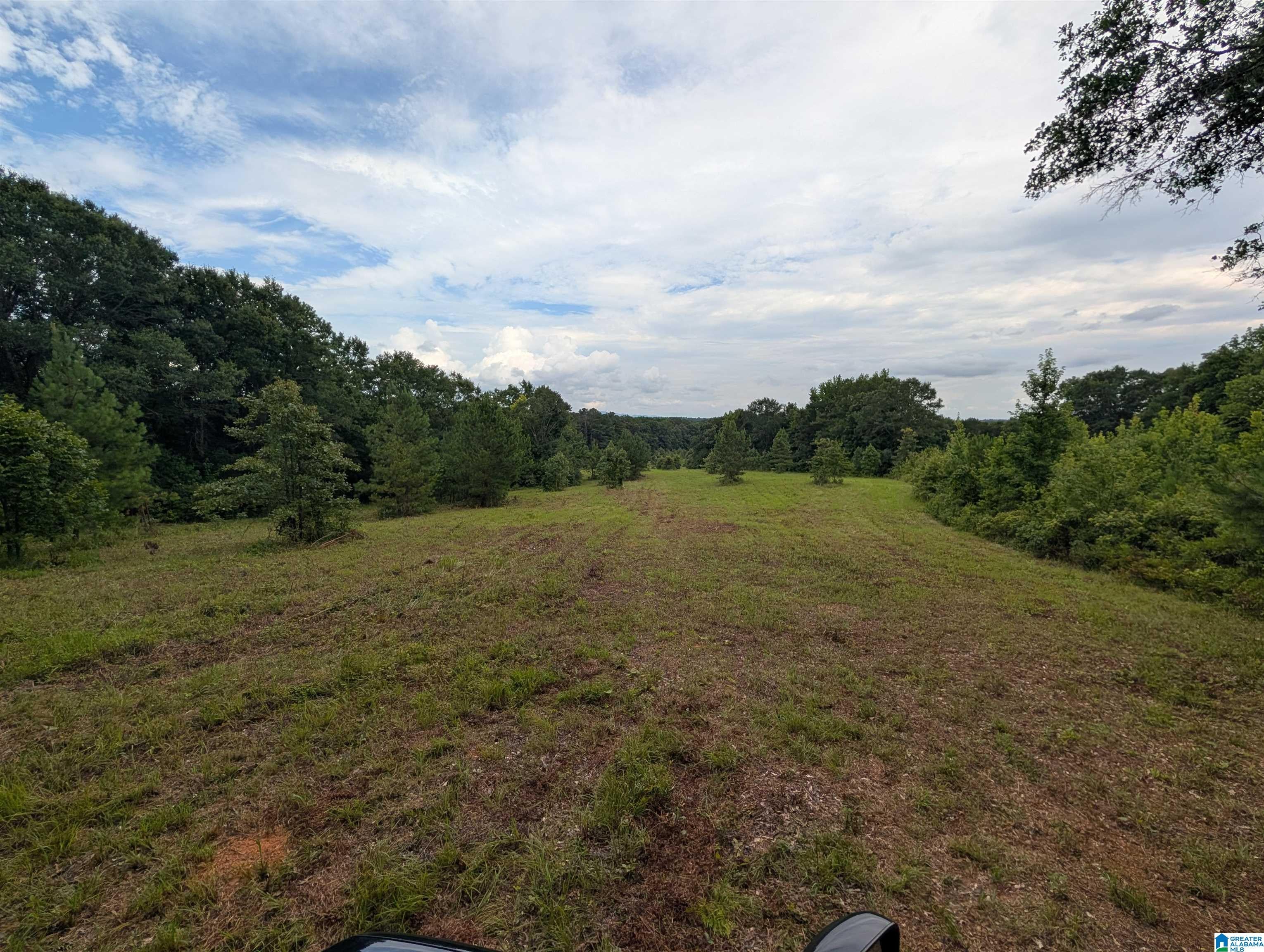 0 Barclay Road Alpine, AL 35014 - Photo 11 of 26 Gallery Image 11