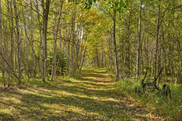 $279,900 | 15823 169th Avenue, Park Rapids, MN 56470