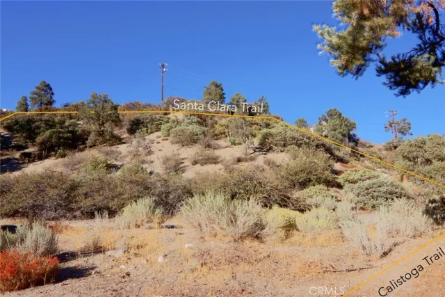a view of a snow on a beach