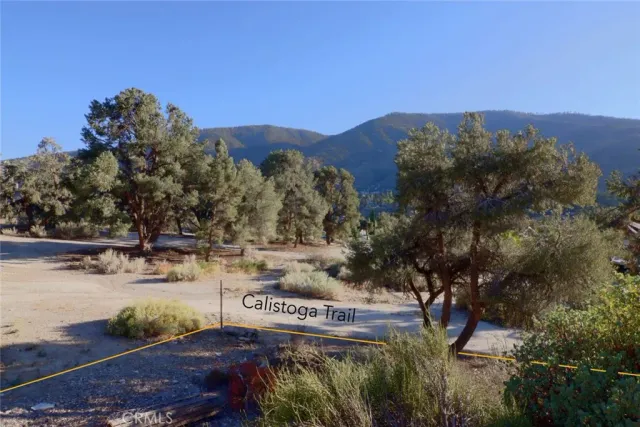 a view of a yard with a tree