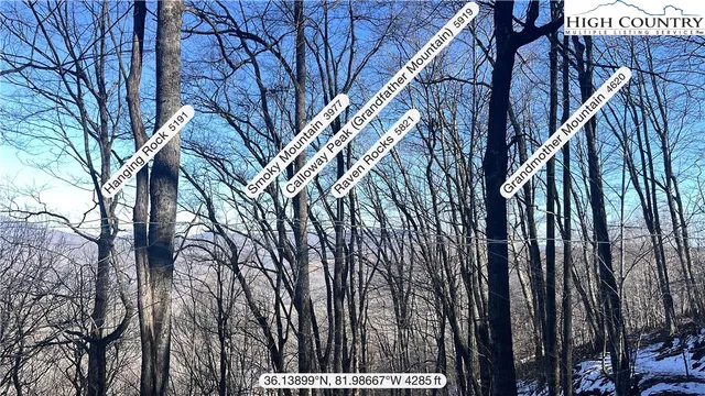 a view of tree in front of a house