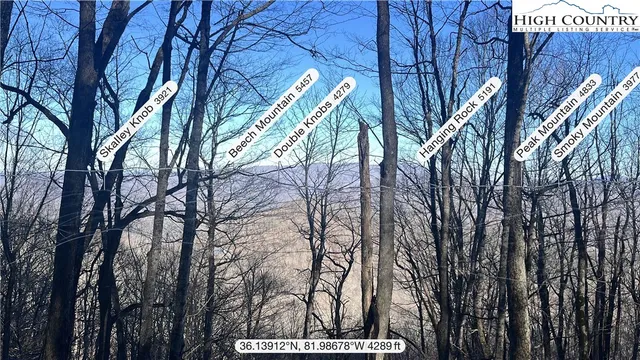 a view of tree in front of a house