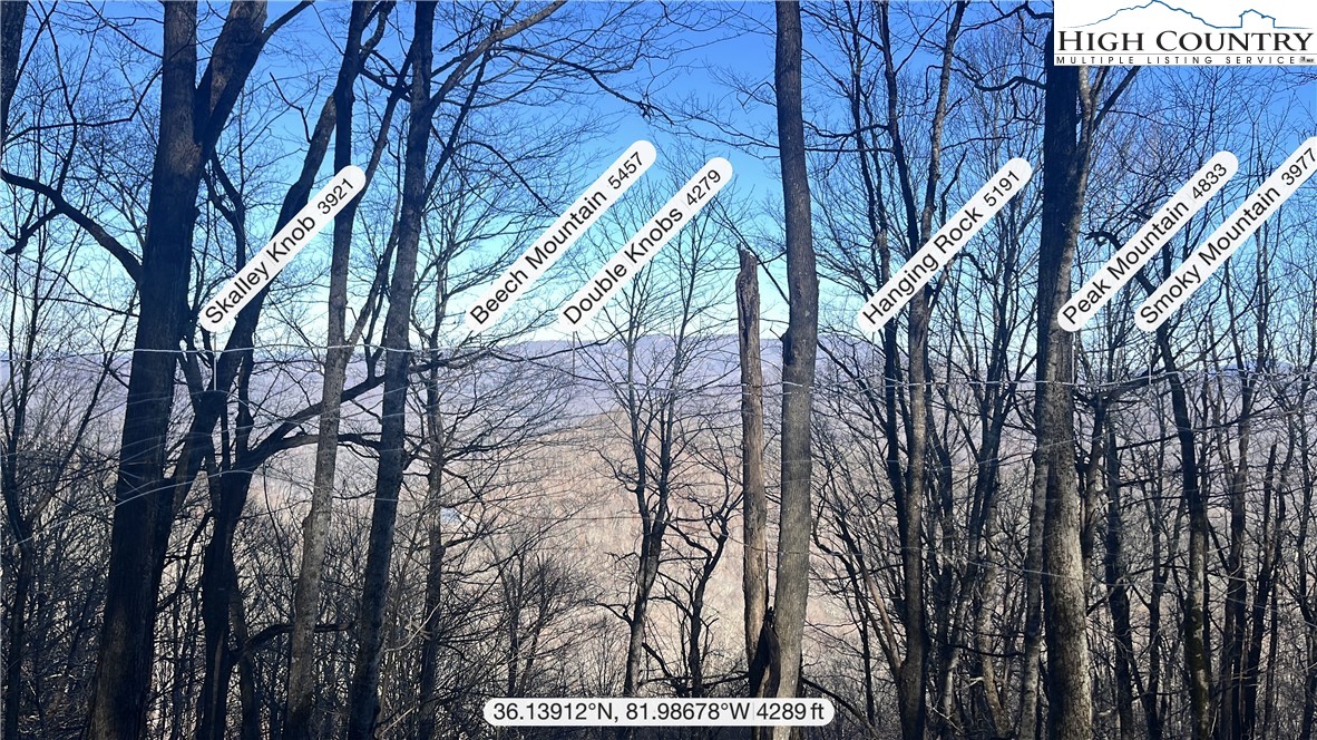 Lot 39 May Apple Trail Newland, NC 28657 - Photo 3 of 8 a view of tree in front of a house