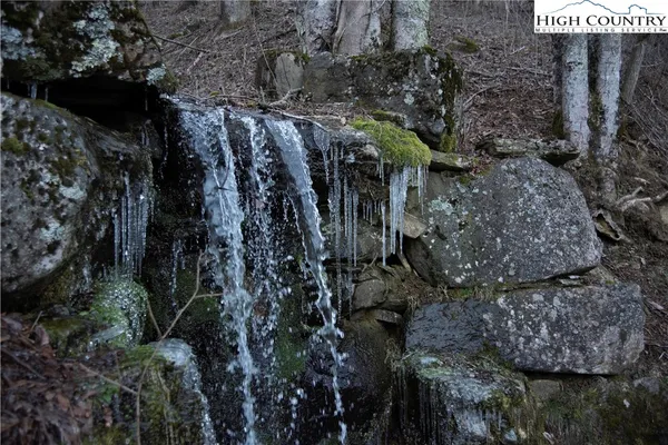 a view of a house with a tree