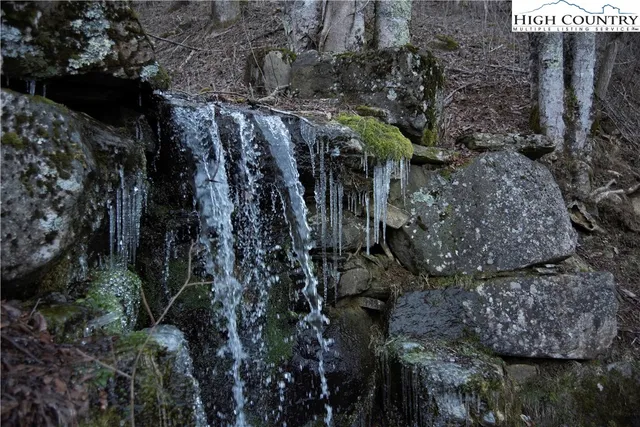 a view of a house with a tree
