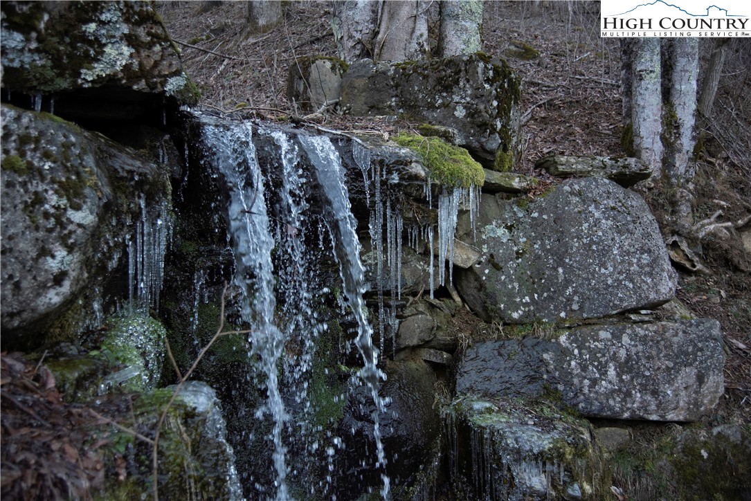 Lot 39 May Apple Trail Newland, NC 28657 - Photo 7 of 8 a view of a house with a tree