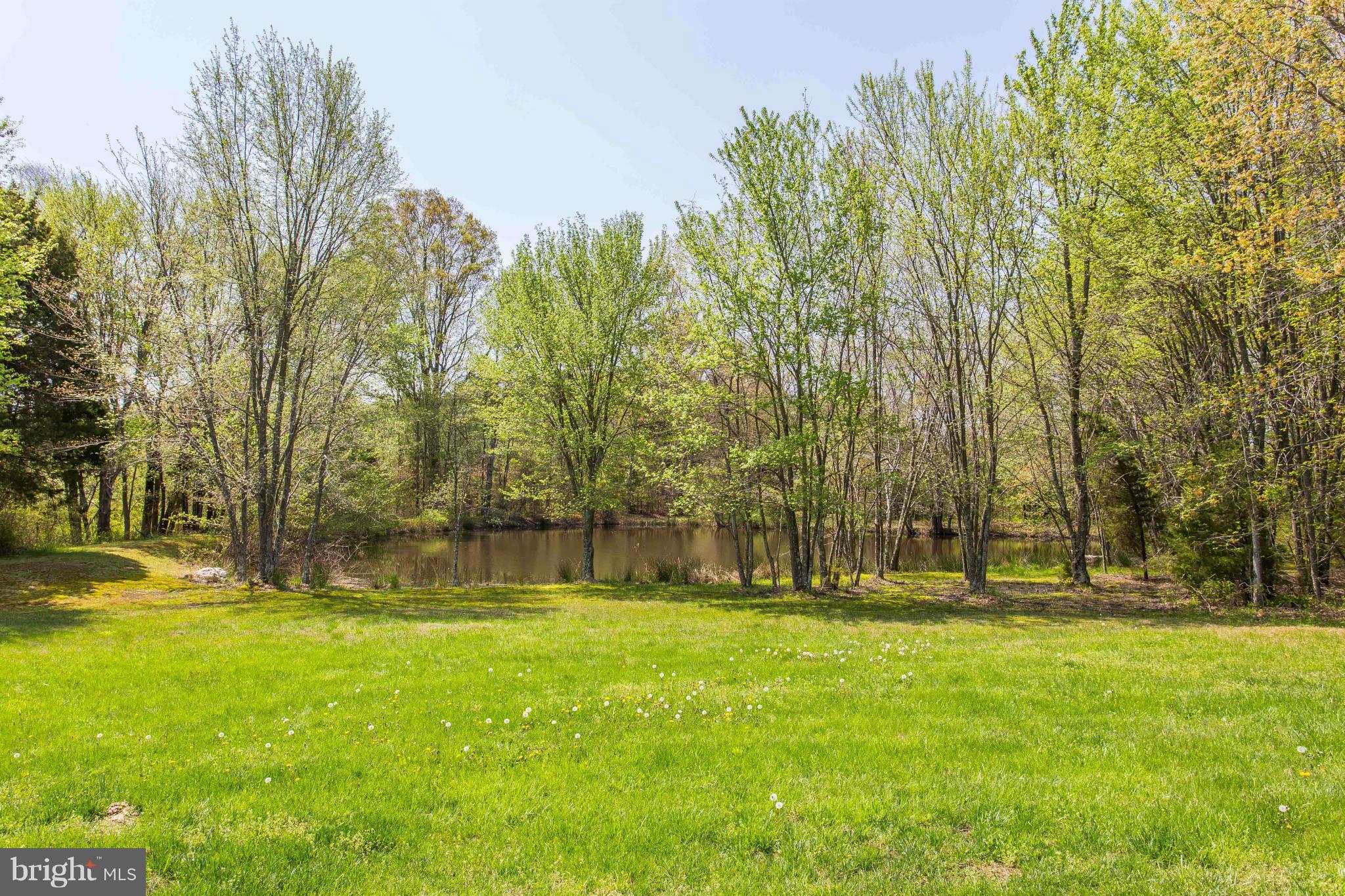 32178 Old Plank Road Locust Grove, VA 22508 - Photo 3 of 30 Exterior (Rear)