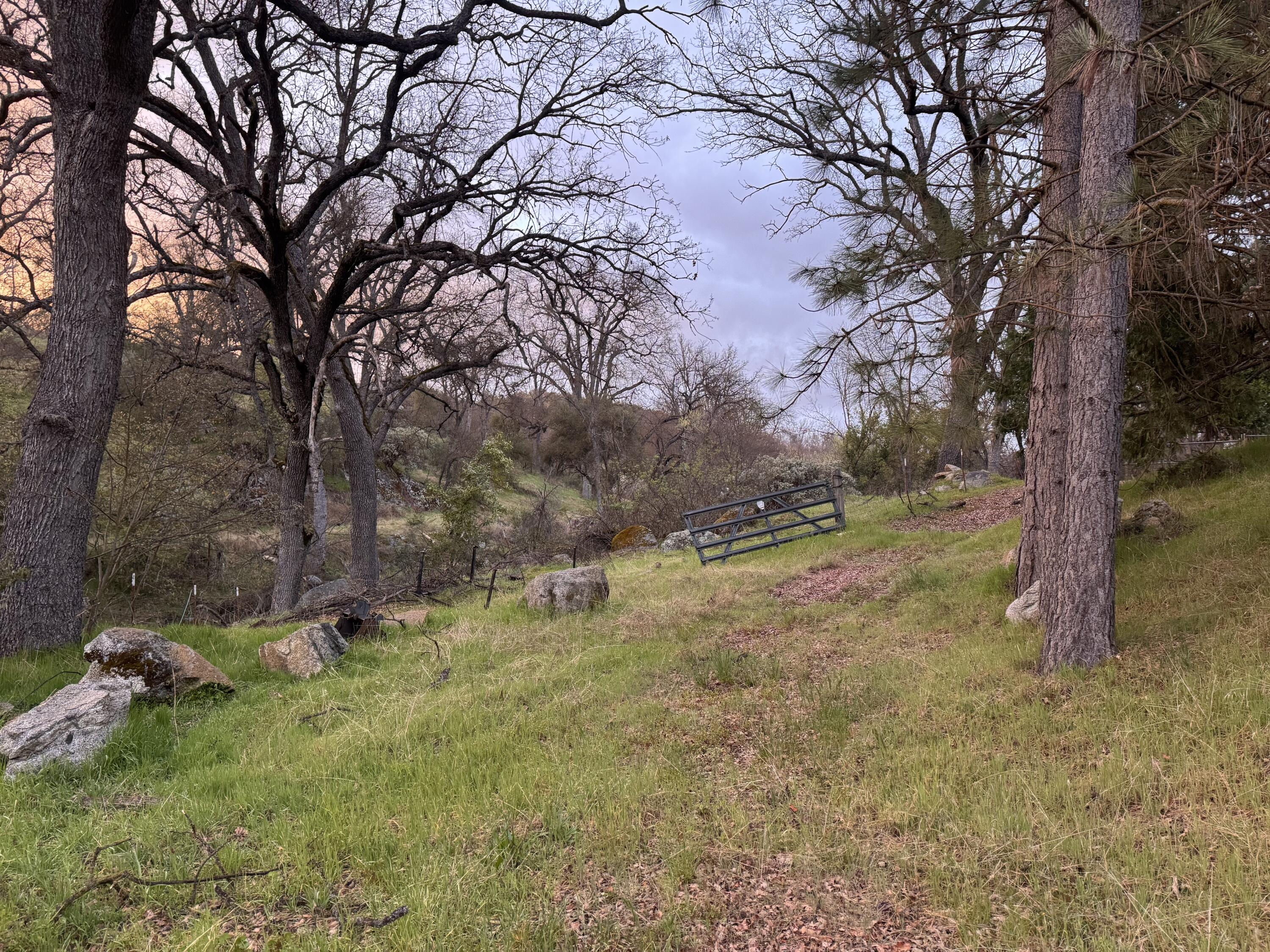 1440 Whitaker Forest Road Badger, CA 93603 - Photo 16 of 56 IMG_8255