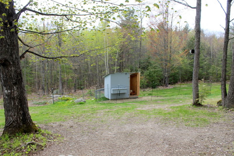85 Jackass Annie Road Minot, ME 04258 - Photo 13 of 18 12.cickencoop