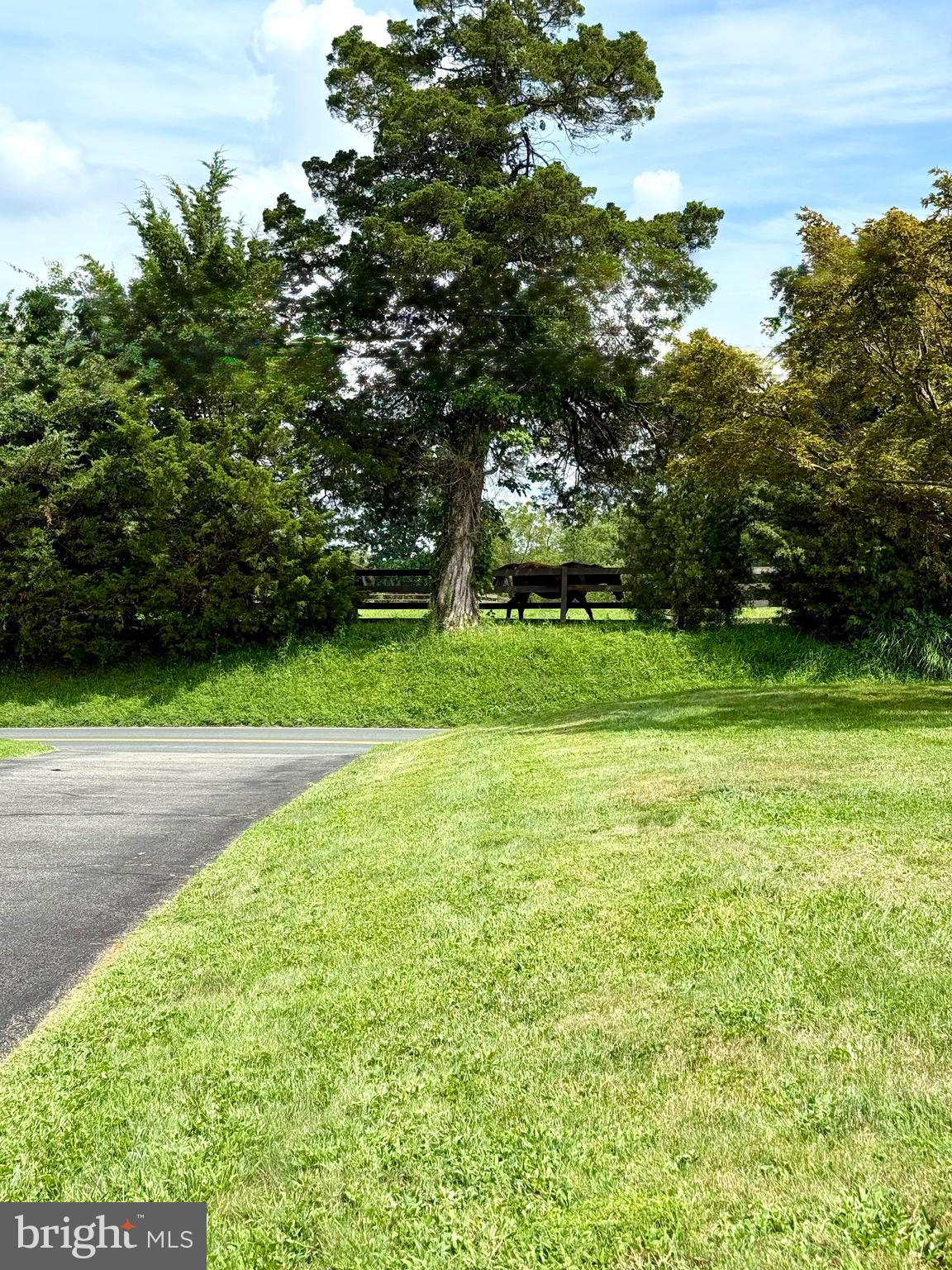 324 Old Joppa Road Fallston, MD 21047 - Photo 7 of 64