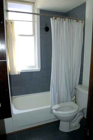3414 North Seminary Avenue Chicago, IL 60657 - Photo 7 of 14 a bathroom with a toilet and a bathtub