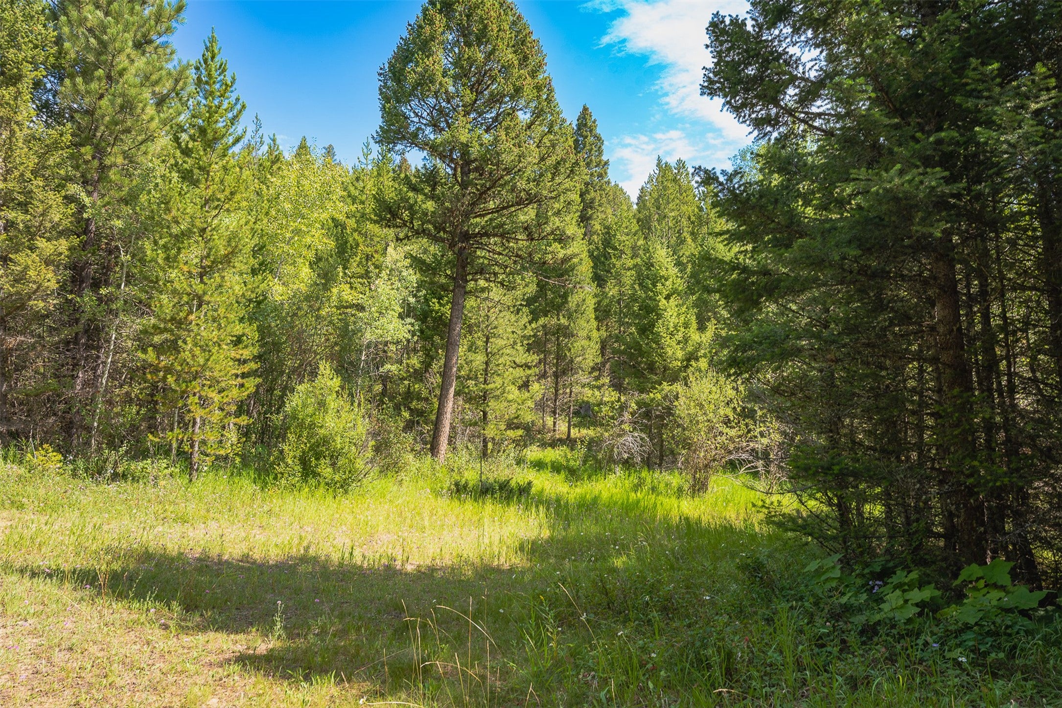 2 2 Bear Springs Road Lincoln, MT 59639 - Photo 28 of 55 Gallery Image 28
