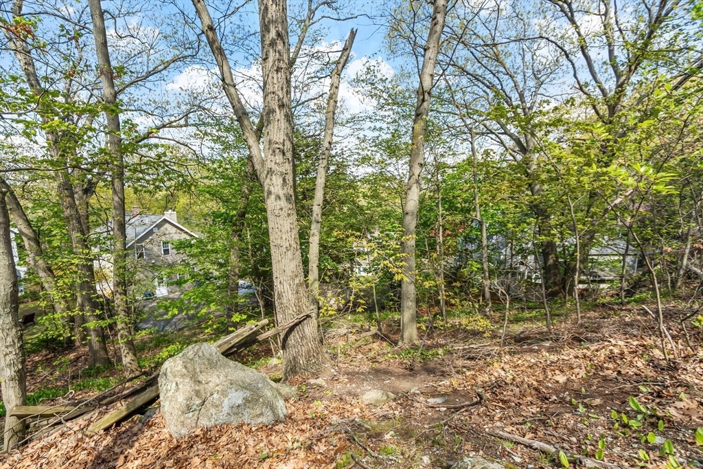 25 Naples Road Melrose, MA 02176 - Photo 32 of 36 a view of a yard with plants and tree