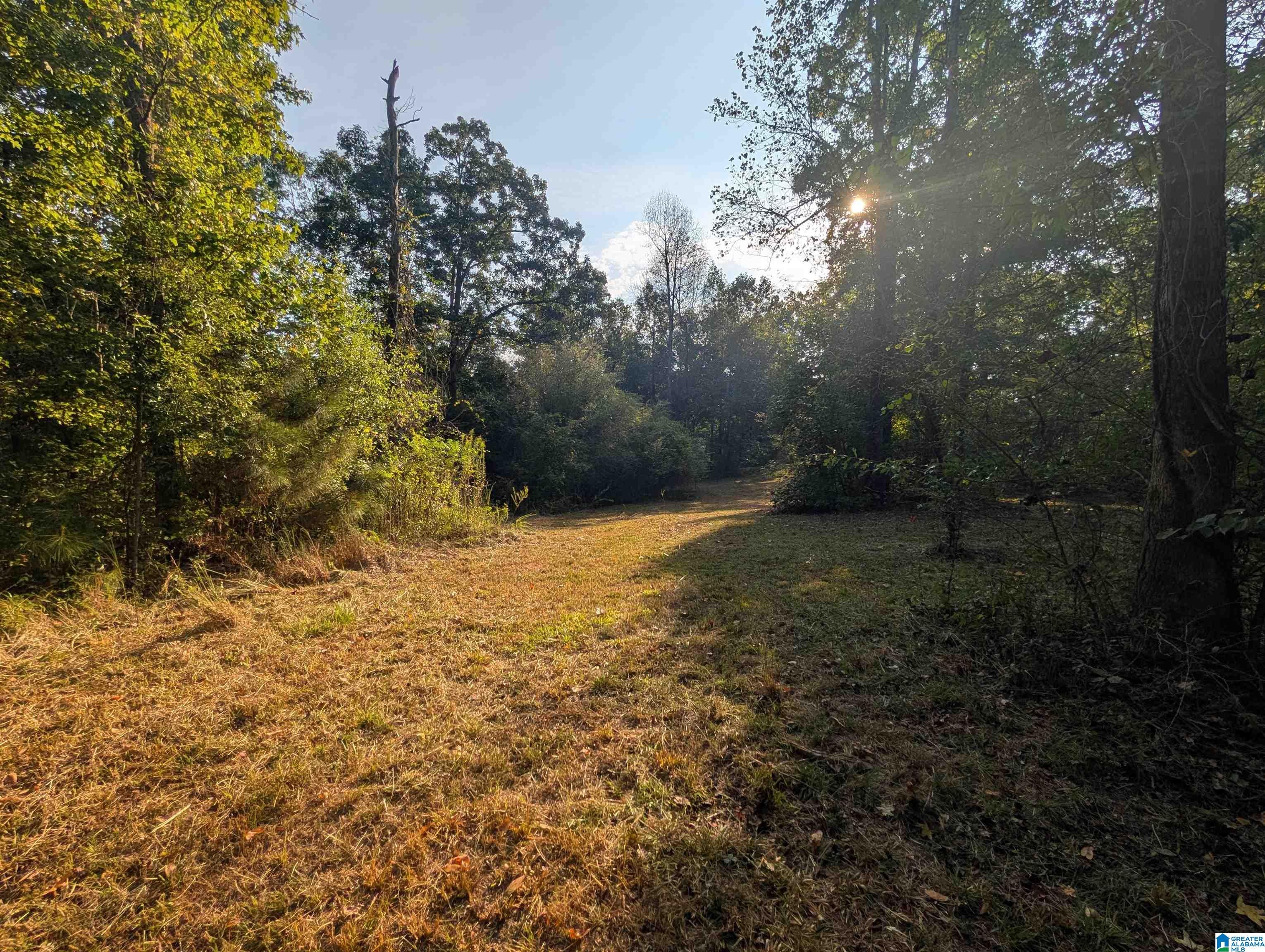 591 McClain Road, Unit 2 Bessemer, AL 35023 - Photo 12 of 15 Gallery Image 12