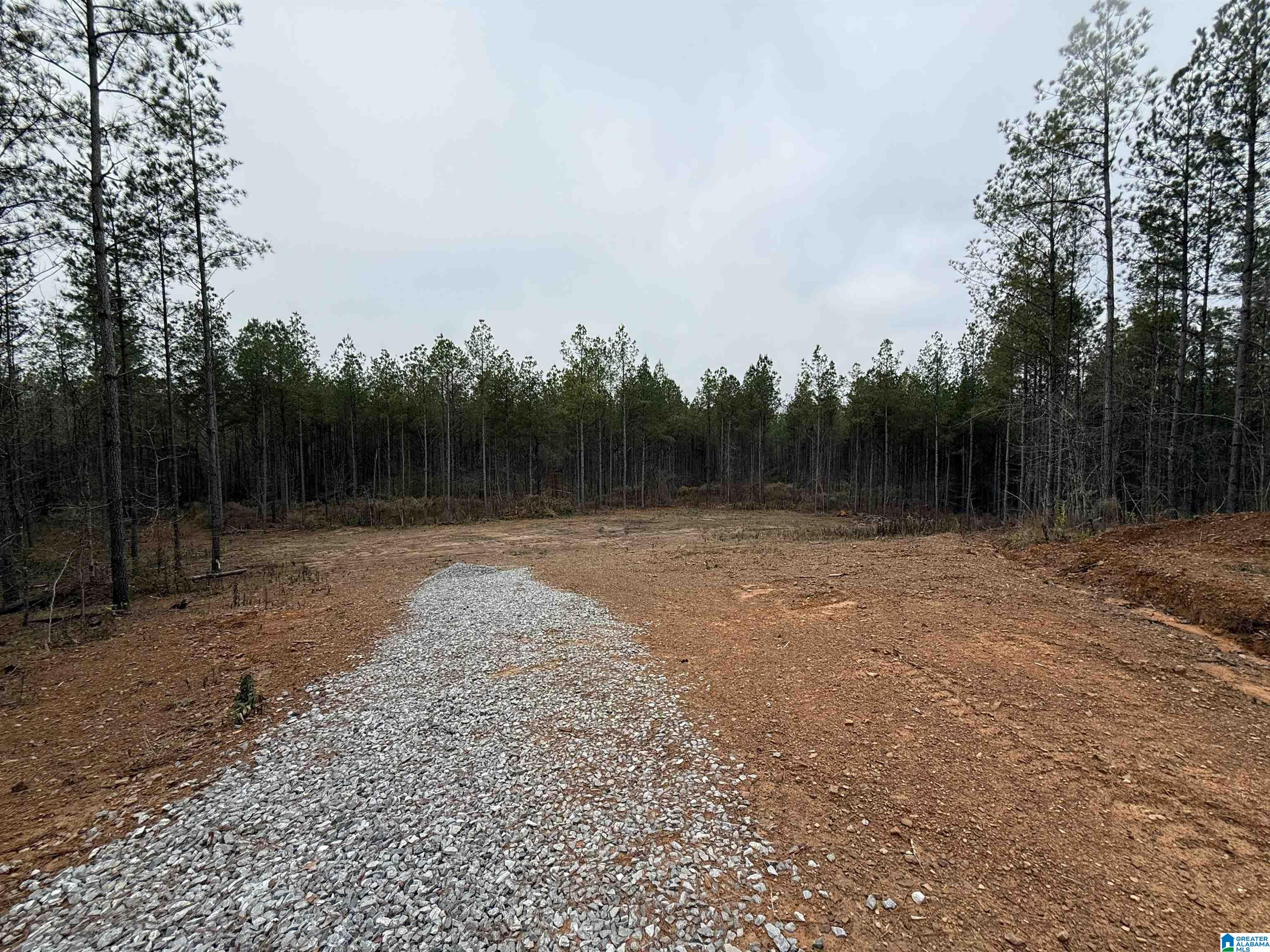 4637 Chelsea Road, Unit 18 Columbiana, AL 35051 - Photo 7 of 10 Gallery Image 7