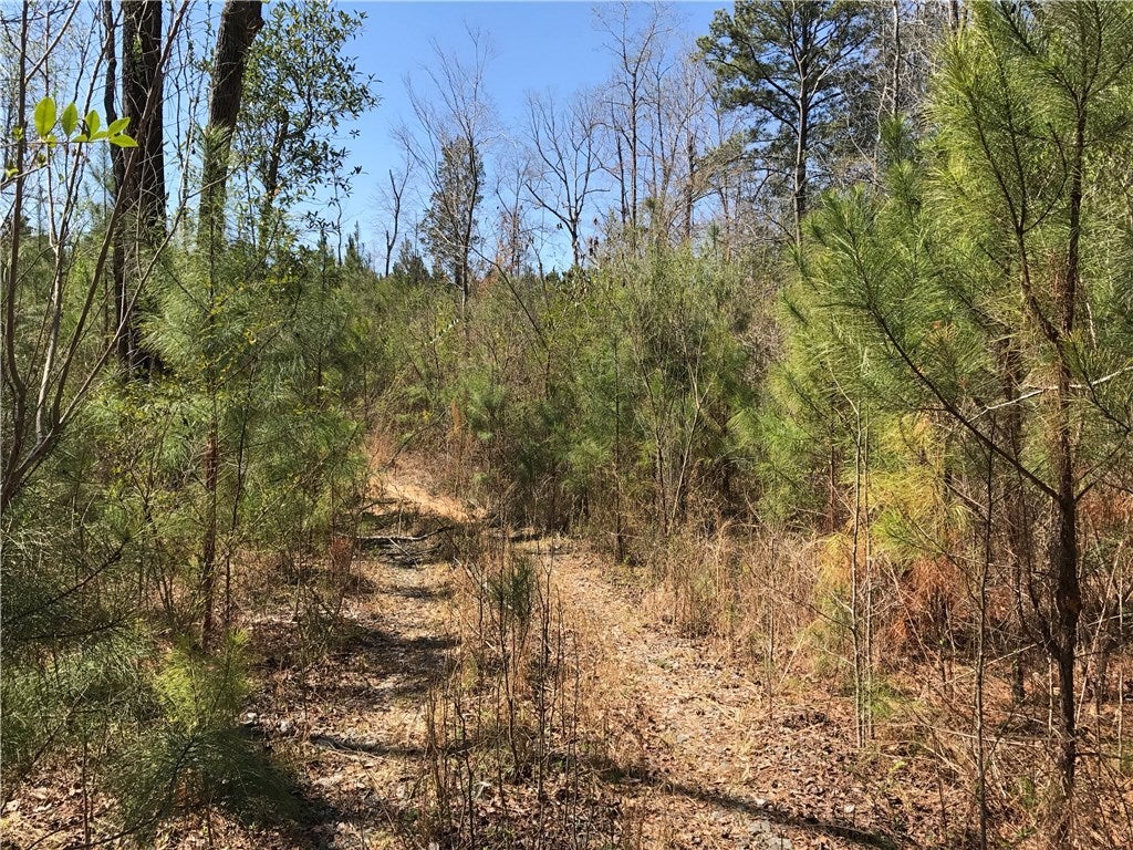 0 Coley Creek Road Alexander City, AL 35010 - Photo 3 of 8 Gallery Image 3