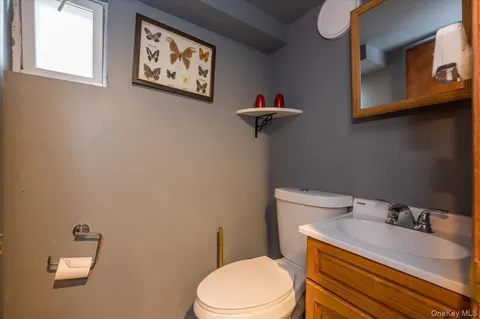 a bathroom with a sink and a toilet