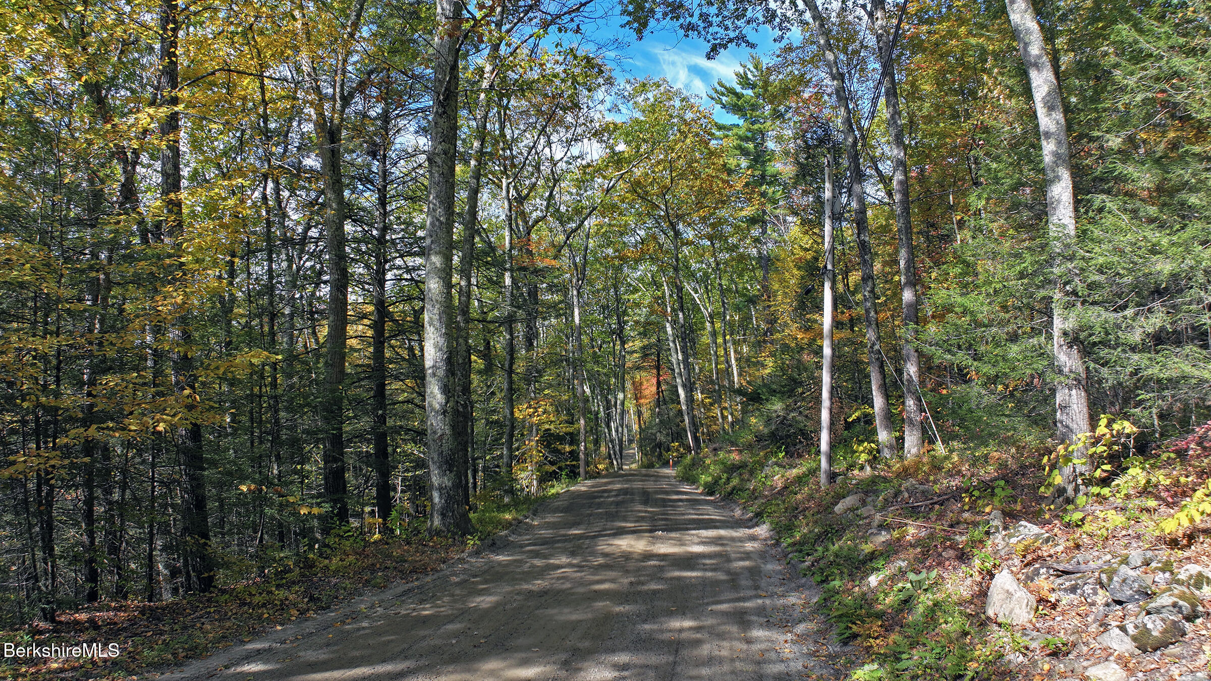 Lot#104 Hupi Road Monterey, MA 01245 - Photo 6 of 10 a view of a forest with trees in the background