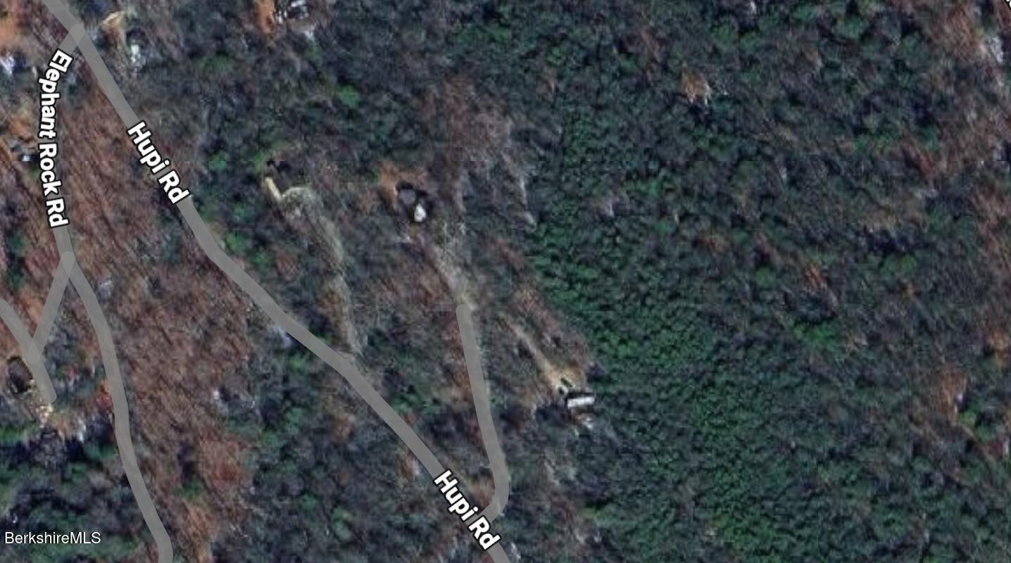 Lot#104 Hupi Road Monterey, MA 01245 - Photo 10 of 10 a view of a forest with a tree