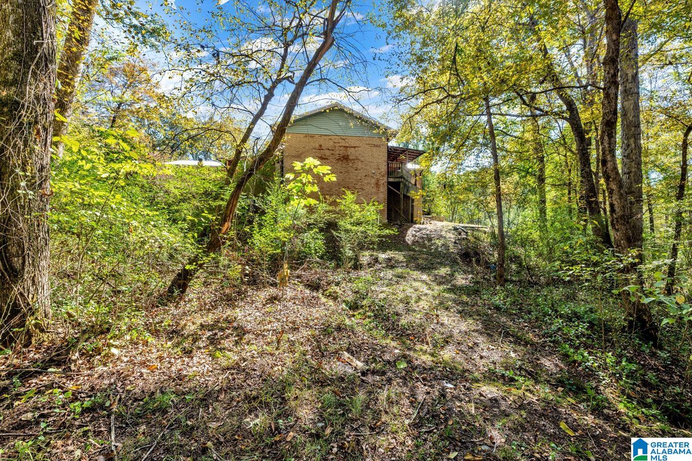 421 Tubbs Hill Road Oakman, AL 35579 - Photo 37 of 49