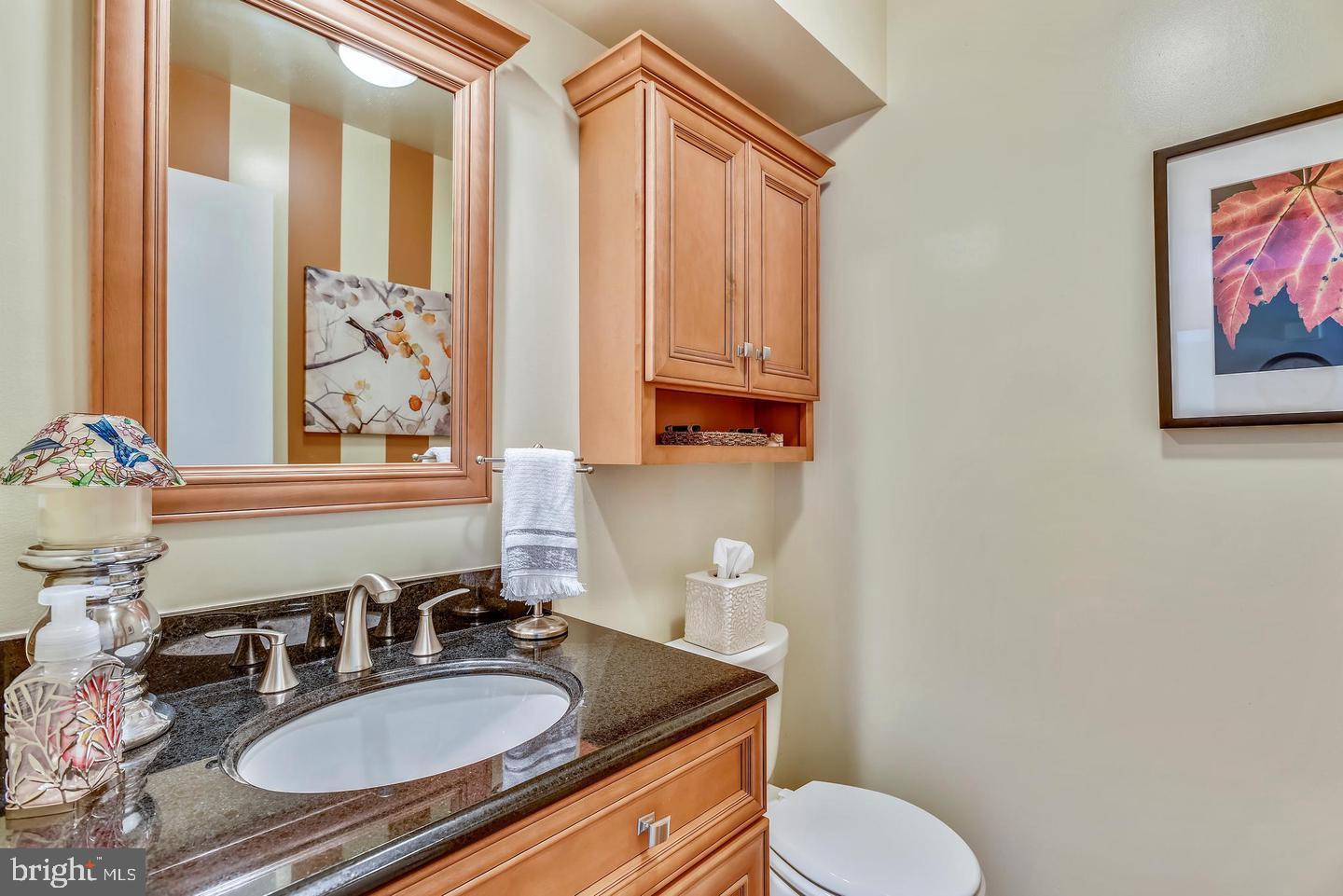 11627 Chapel Cross Way Reston, VA 20194 - Photo 17 of 38 Powder room
