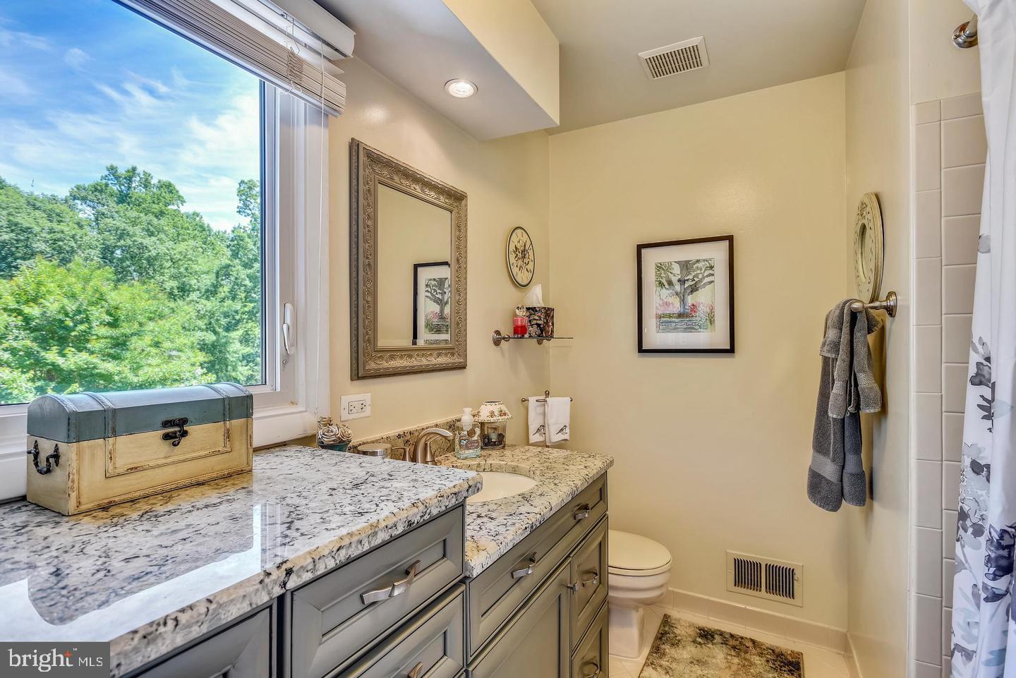11627 Chapel Cross Way Reston, VA 20194 - Photo 27 of 38 2nd level bathroom