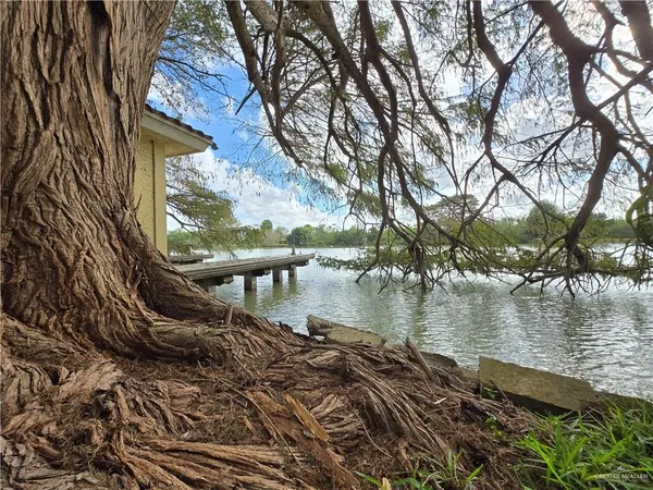 a view of a yard with large trees