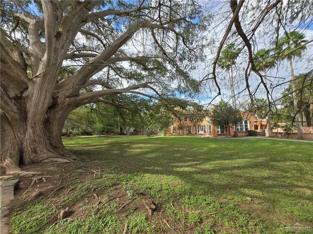 a view of a golf course with a tree