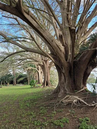 a view of outdoor space yard and deck