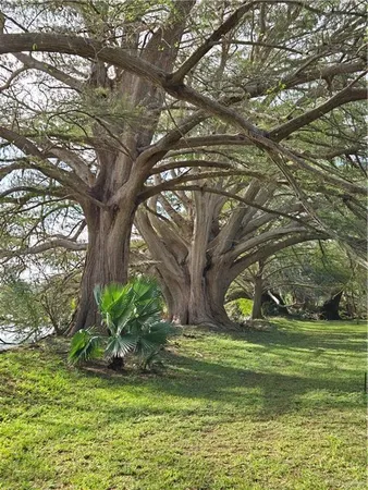 $1,500,000 | 27101 Highway 345, San Benito, TX 78586