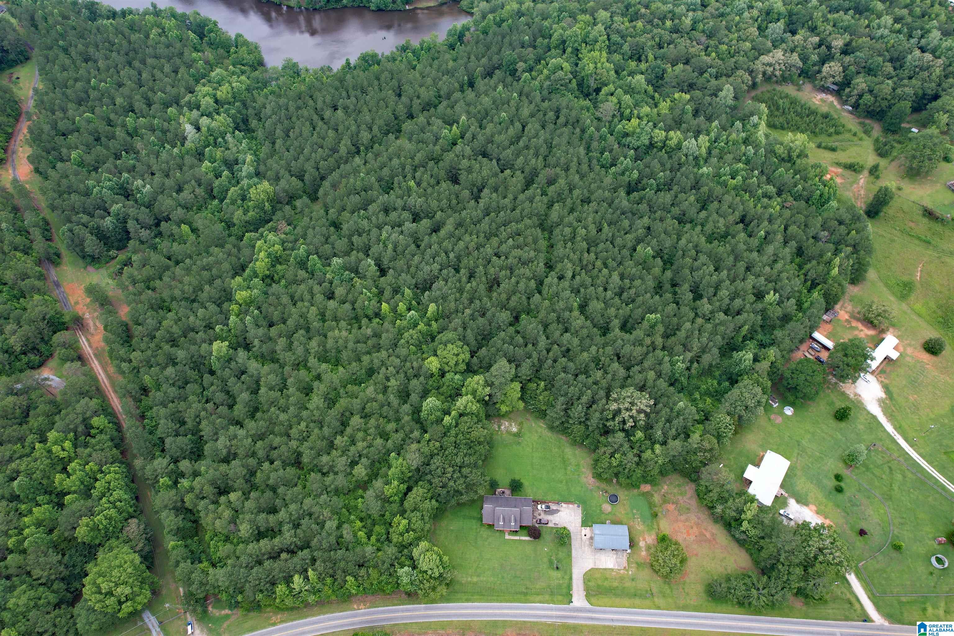 0 Houston Road Sylacauga, AL 35151 - Photo 5 of 32