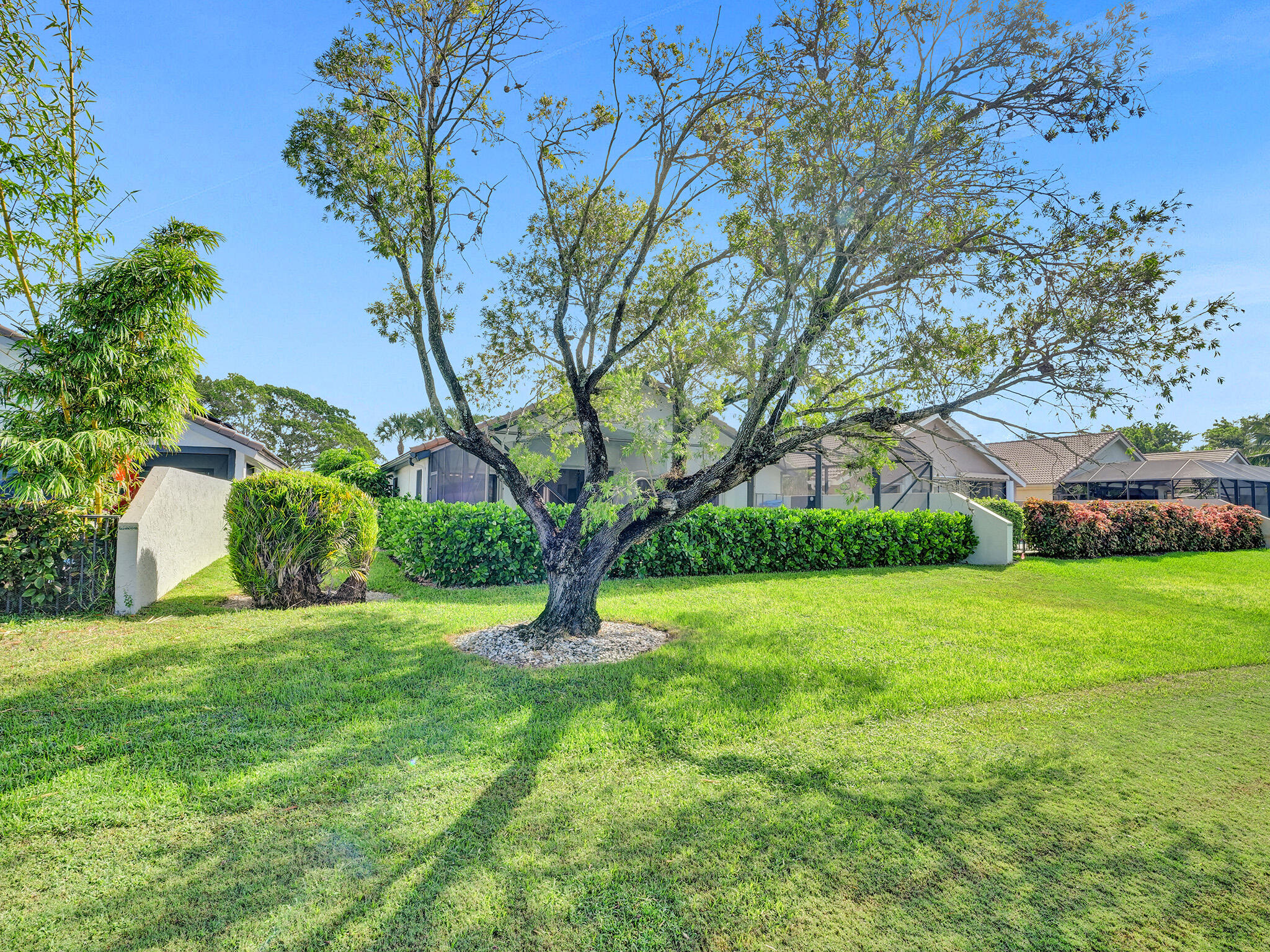 10698 Crystal Lake Drive Boca Raton, FL 33428 - Photo 44 of 48 a view of a big yard with plants and large trees