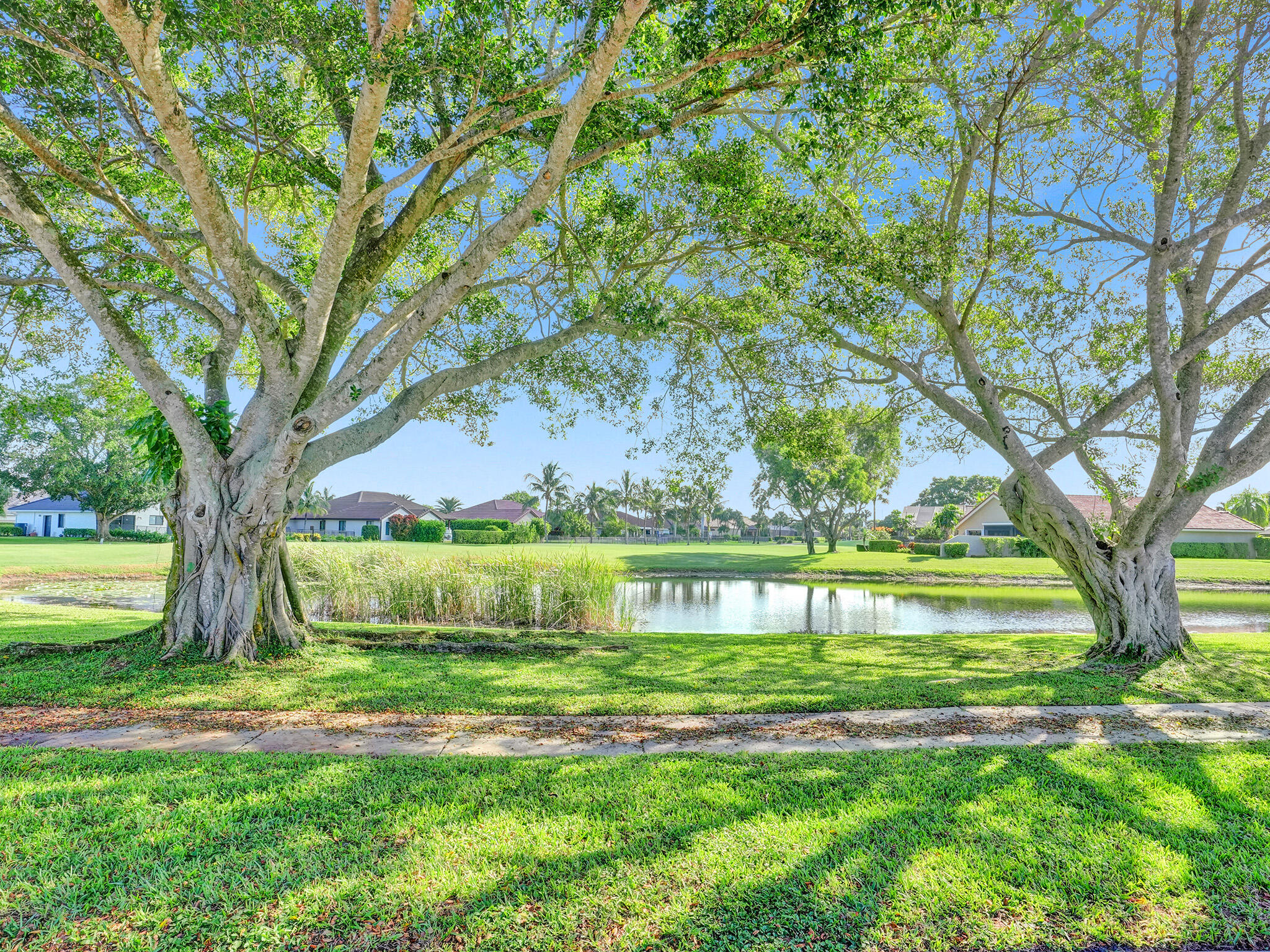 10698 Crystal Lake Drive Boca Raton, FL 33428 - Photo 45 of 48 a view of swimming pool with a yard