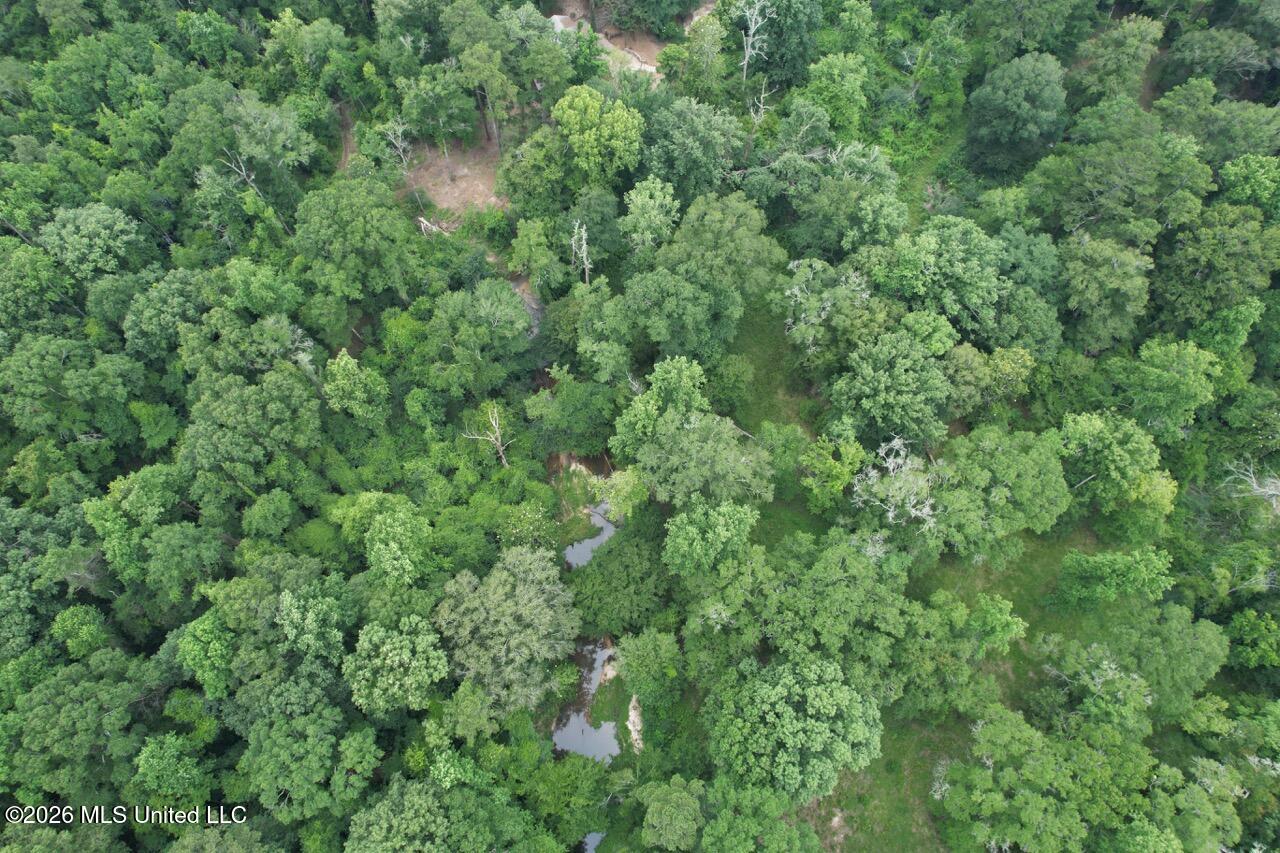 6642 Grange Hall Road Osyka, MS 39657 - Photo 46 of 50 DJI_0136 Large
