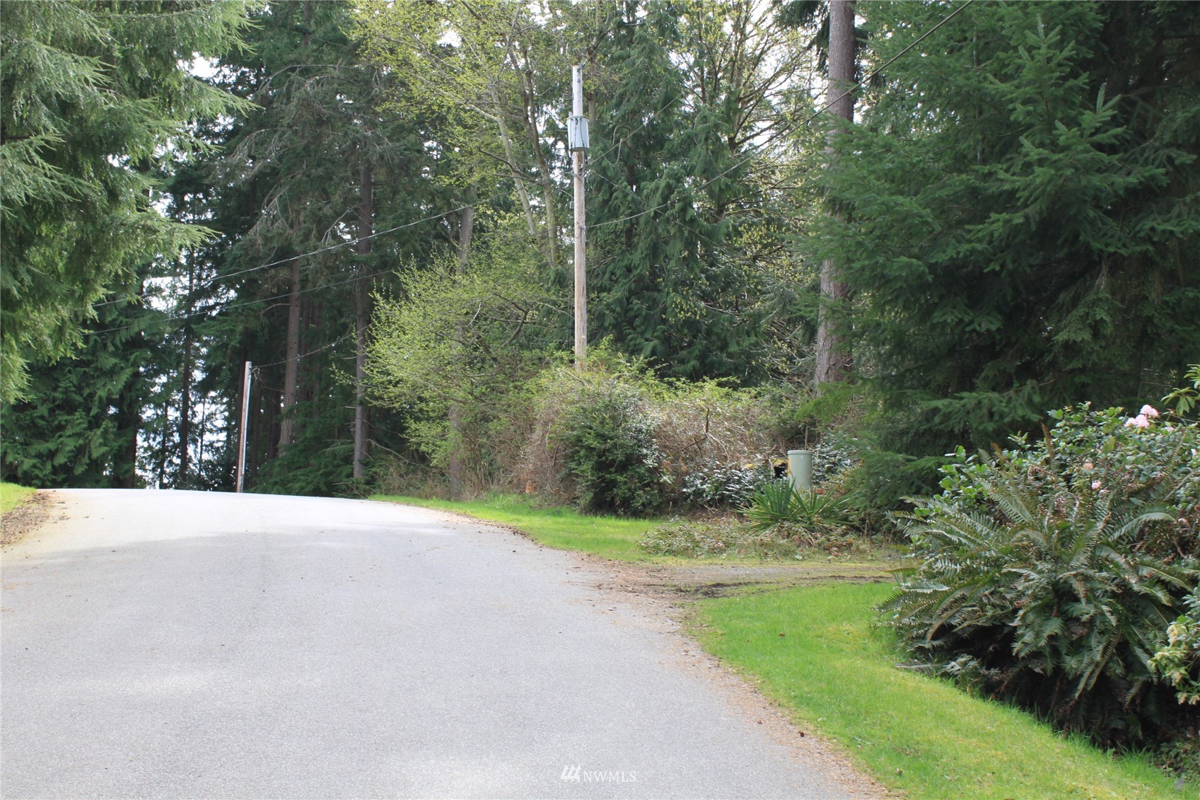 a view of a road with trees and bushes