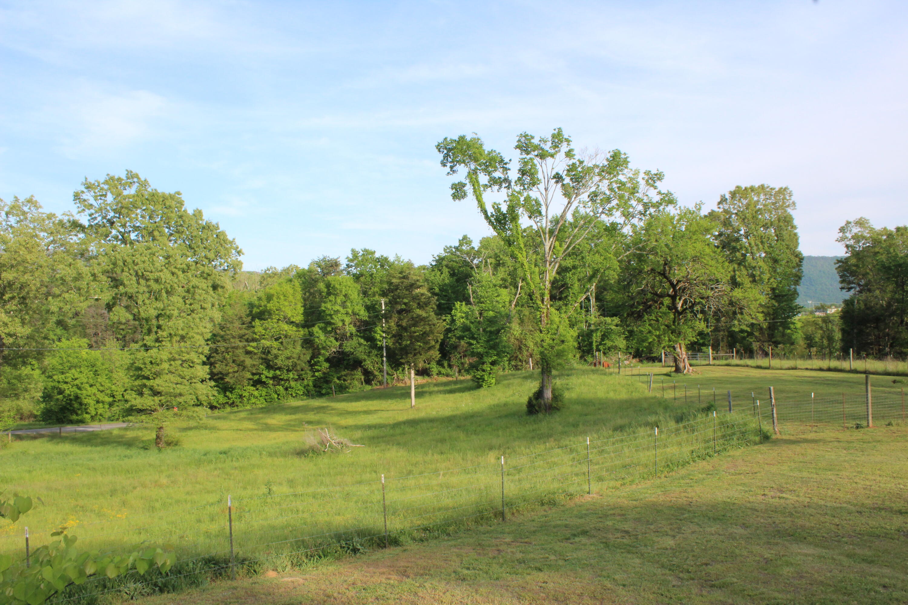 658 Stone Road Benton, TN 37307 - Photo 27 of 30 IMG_1947