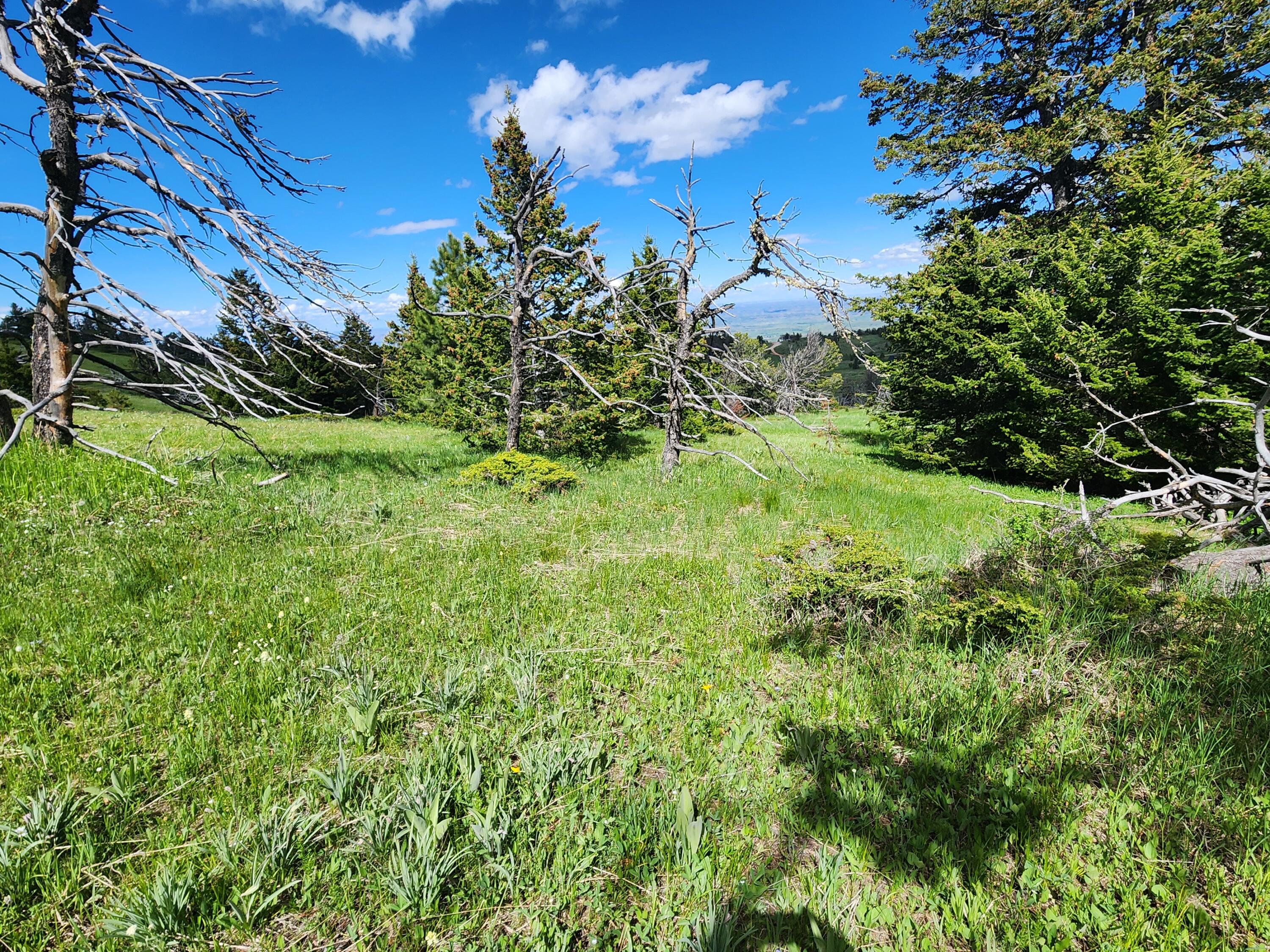 12 Blacktooth Road Big Horn, WY 82833 - Photo 13 of 25 Lot 12