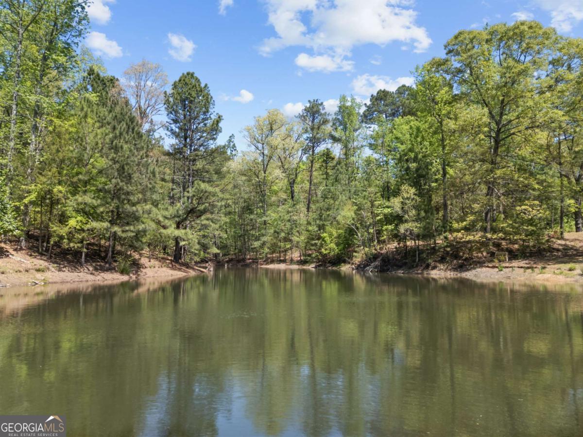 761 Fincherville Road Jackson, GA 30233 - Photo 48 of 79