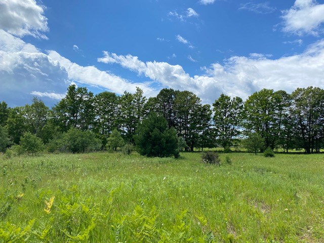 Wild Nest Road Fish Creek, WI 54212 - Photo 3 of 13