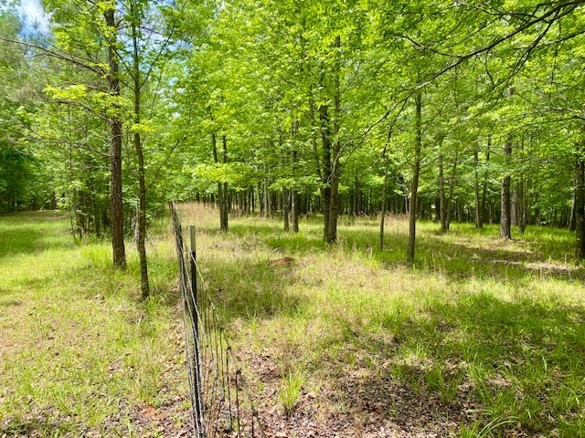 0 Pete Johnson Road Tignall, GA 30668 - Photo 16 of 43 15+/- acres Fenced in for Goats