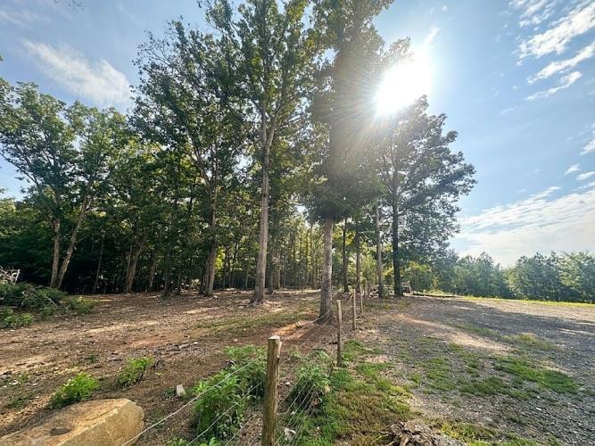 6720 Mill Grove Road Indian Trail, NC 28079 - Photo 11 of 28 Gallery Image 11