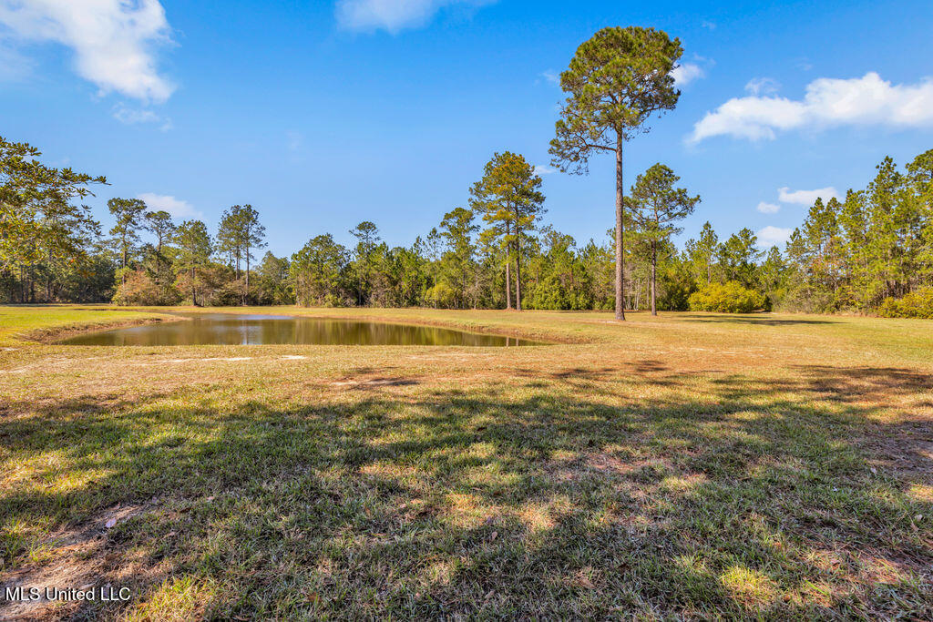 5084 Firetower Road Kiln, MS 39556 - Photo 21 of 80 5084FiretowerRd-18