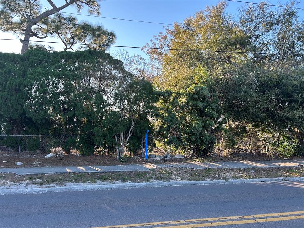 0 Zimmerman Road Port Richey, FL 34668 - Photo 1 of 1 Port Richey Vacant Land