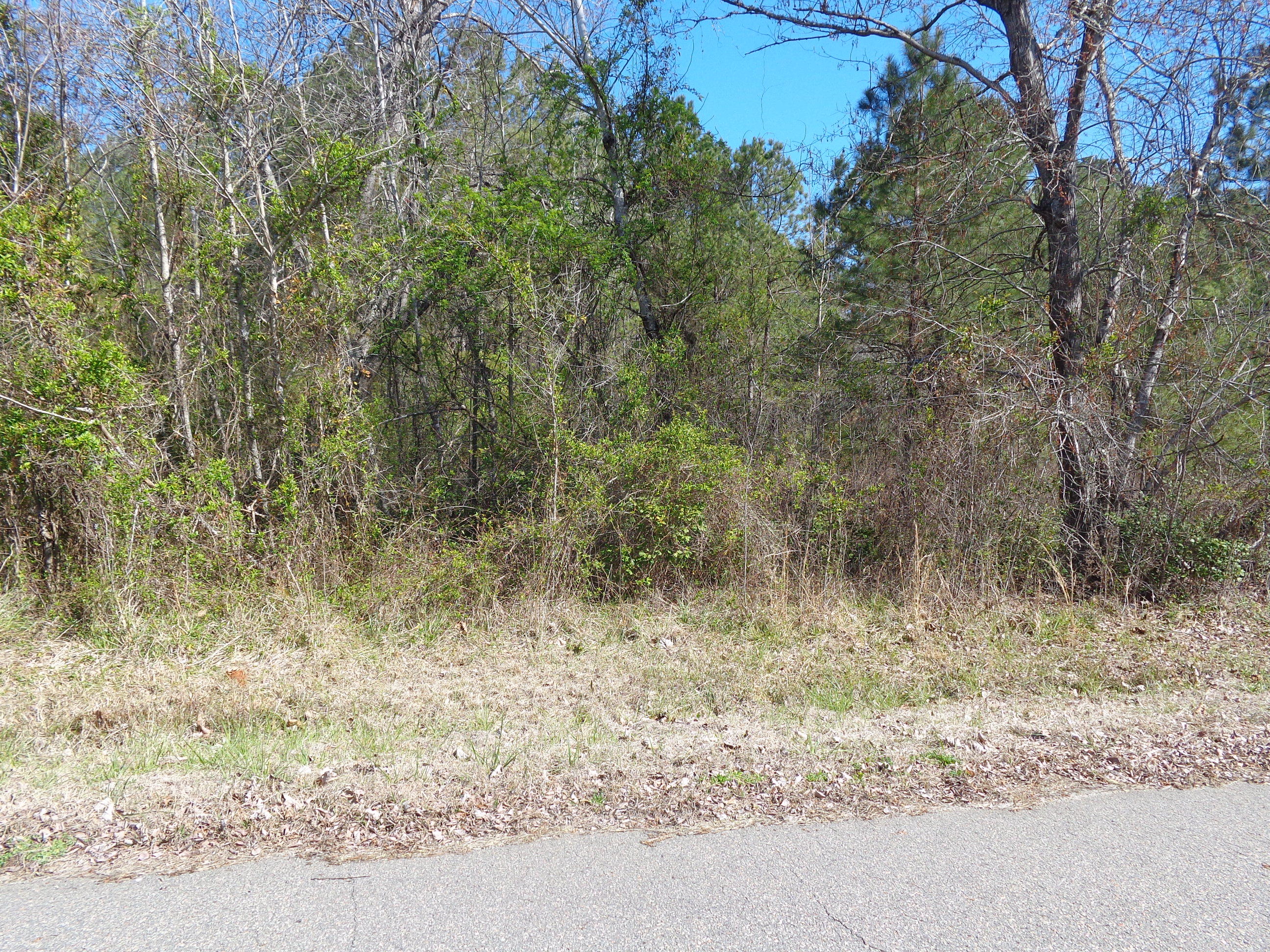 Tbd Tbd Wright Lane Rockingham, NC 28379 - Photo 1 of 2 DSC02970