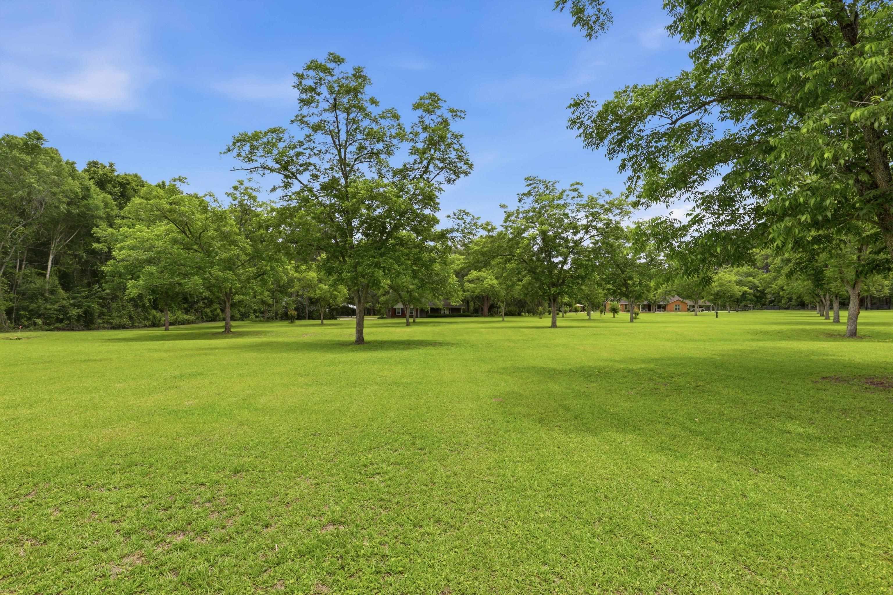 3906 Concord Road Havana, FL 32333 - Photo 4 of 59
