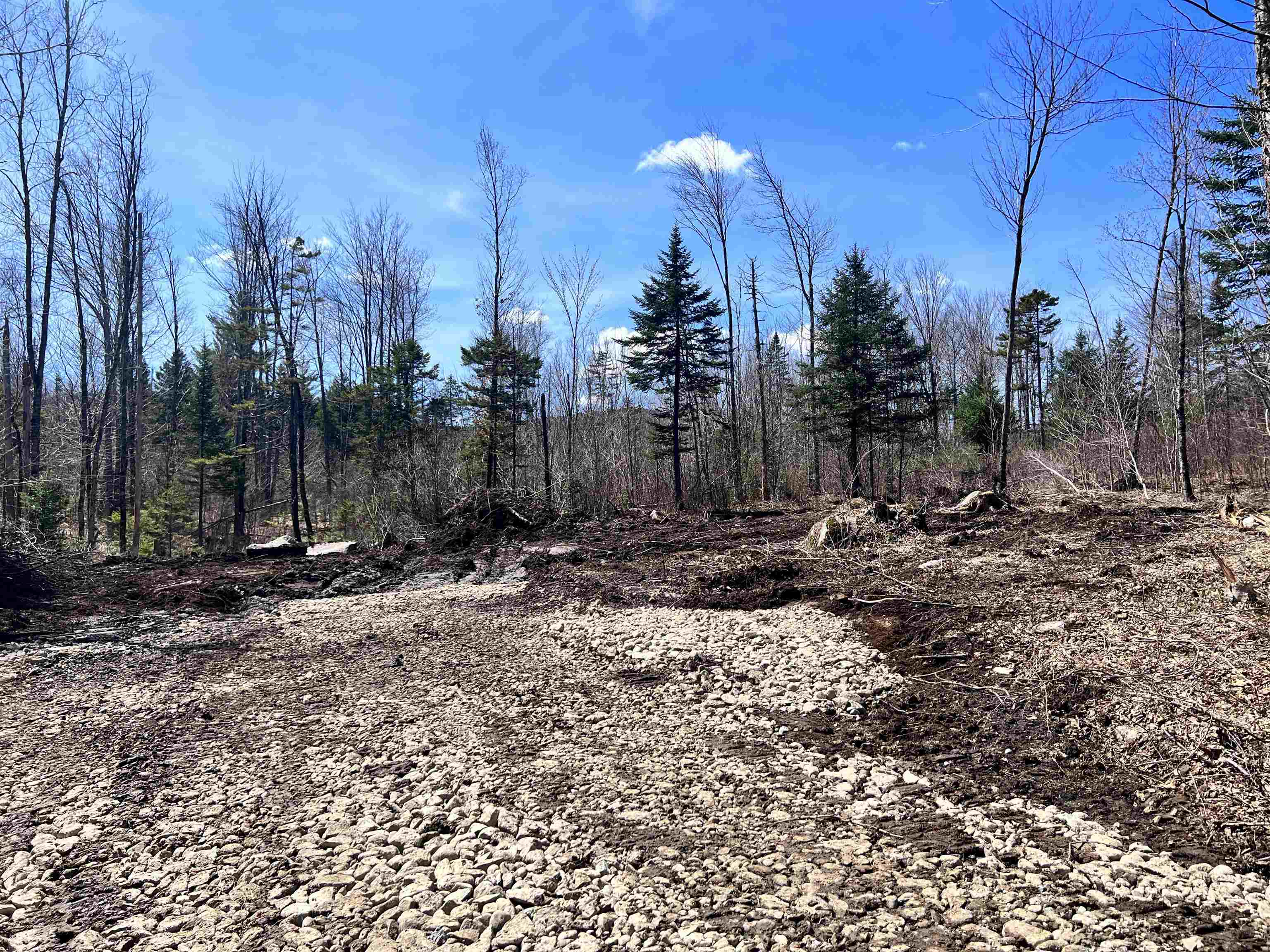 Lot 8 Steiss Road Milan, NH 03588 - Photo 3 of 8